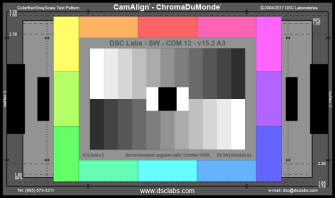 DSC Labs CDX1-15W Combi-DX1 Window Chart 16:9/4:3, 2 1/2 x 2 1/2&quot; white window on black - Combi-DX1 